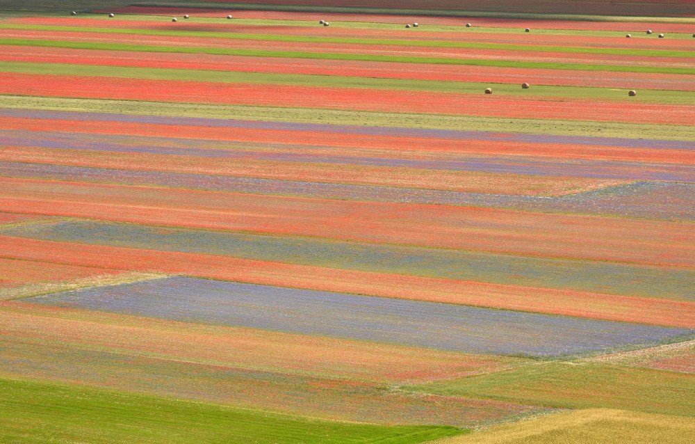 Фотография автора Roberta Costanzi