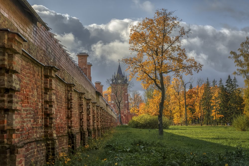 Photograph by Владимир Колесников