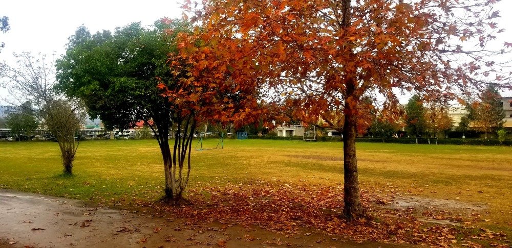 Photo #4072642