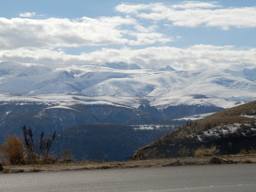 Photo #4072667