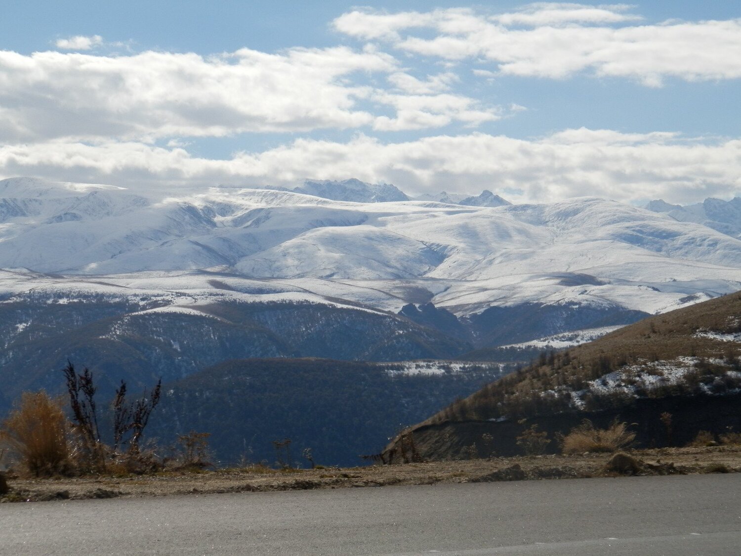 Photo #4072667
