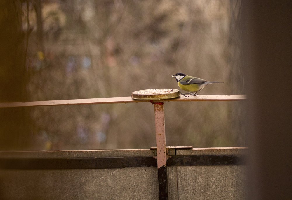Photograph by Виктория Бурова