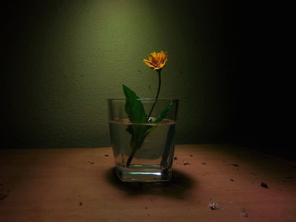 Photograph by Aminul Opu