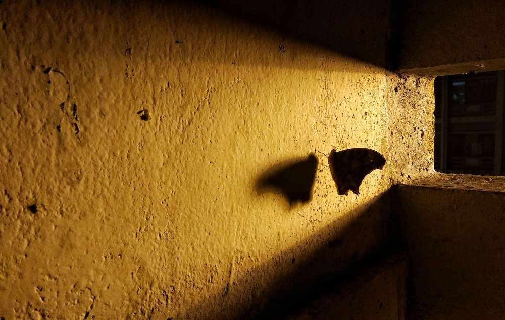 Photograph by Aminul Opu