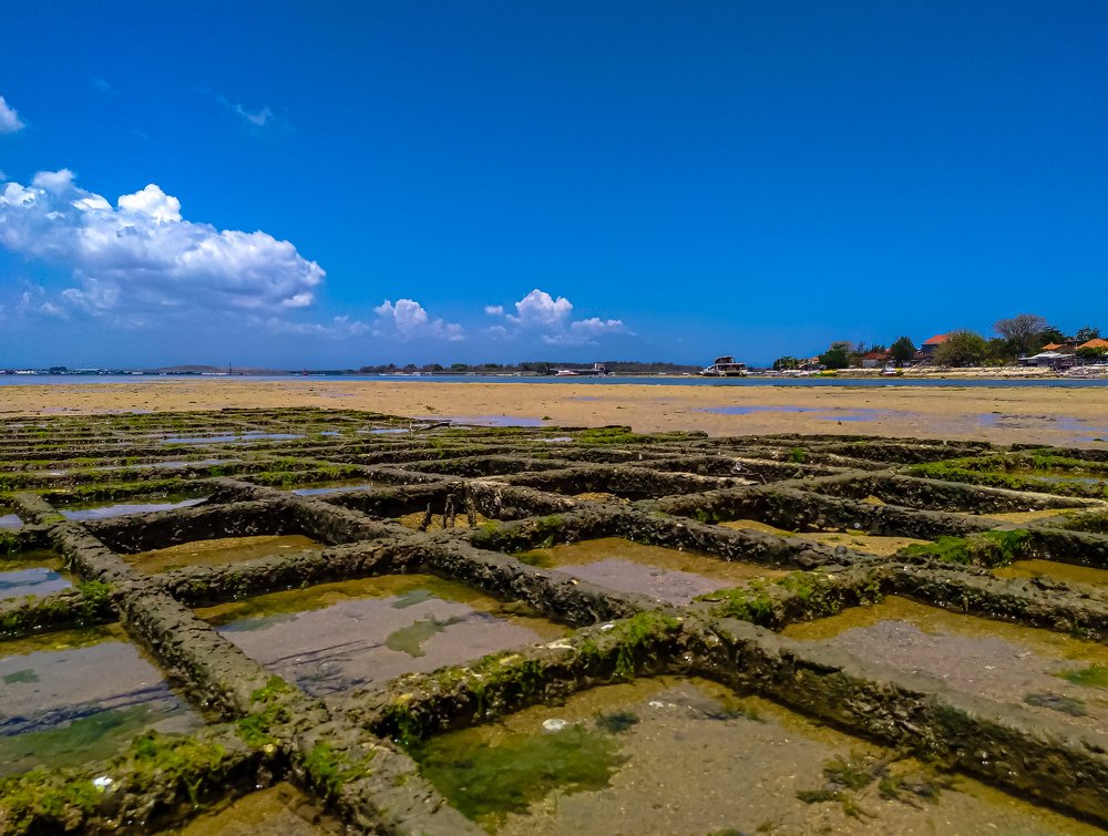 See Land from the Sea