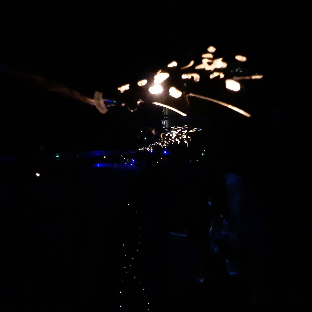 Photo #4072810