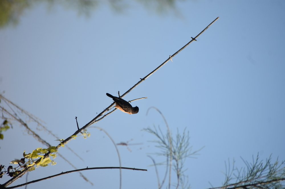Photograph by Jemni Perme