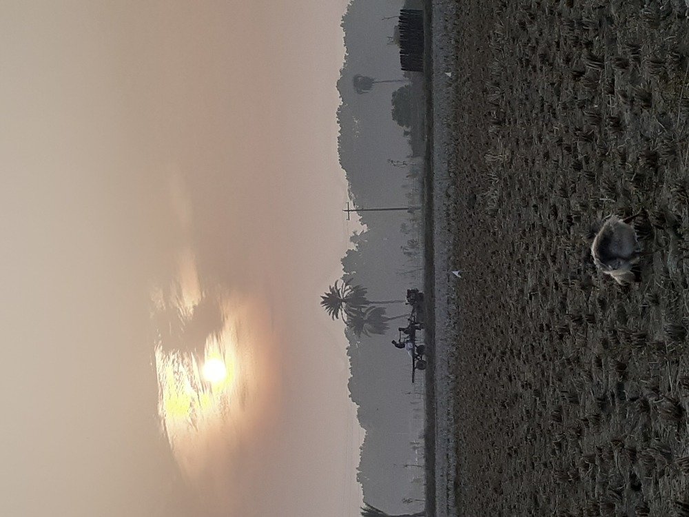 Photograph by khalid