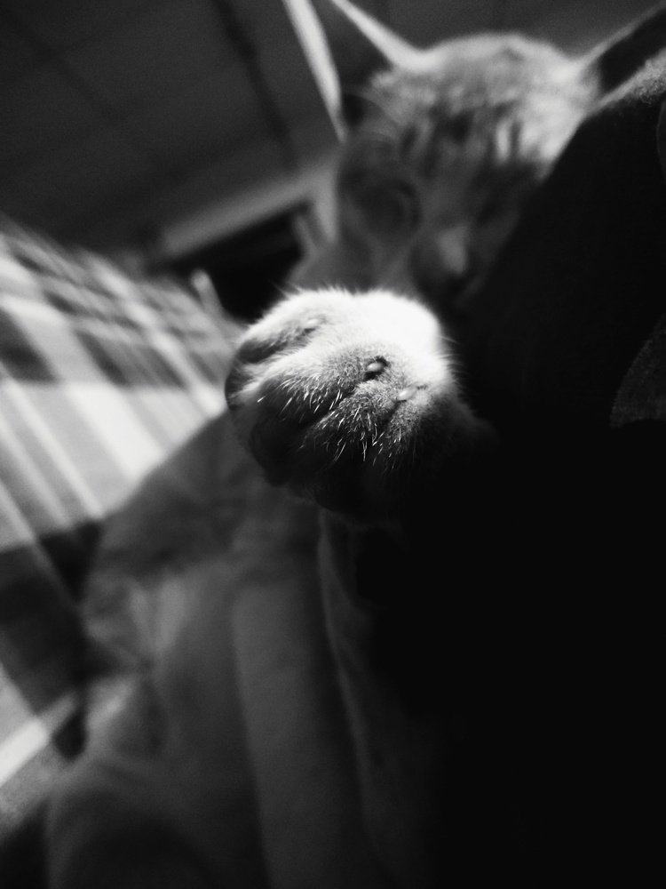 Photograph by Karan Patil