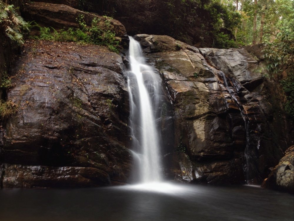 Photograph by Harisankar B