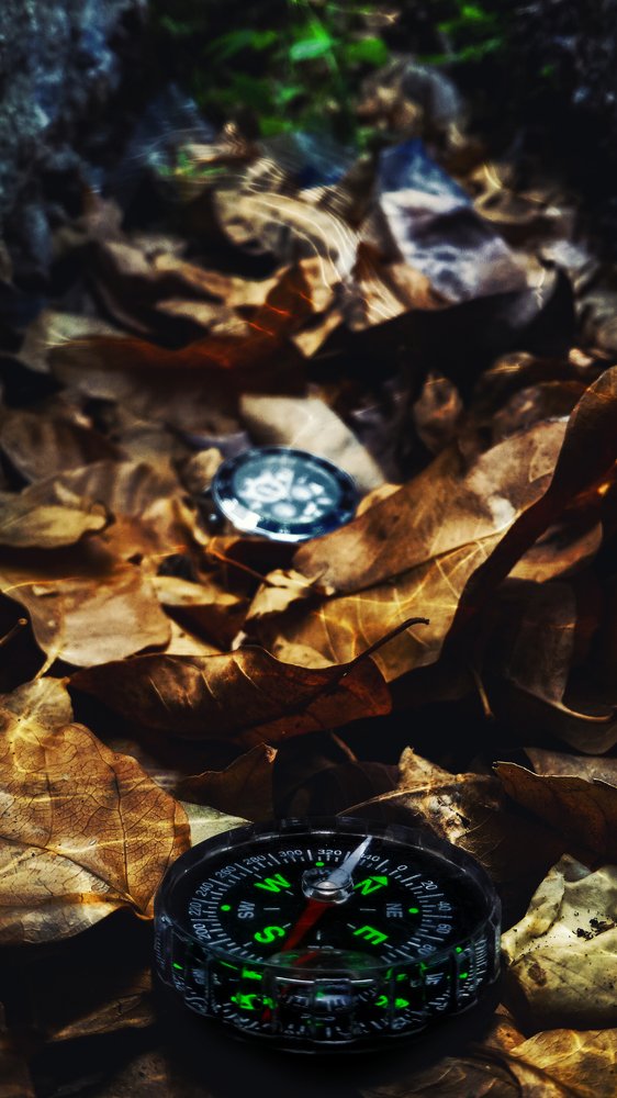 Photograph by Pablo Tovar