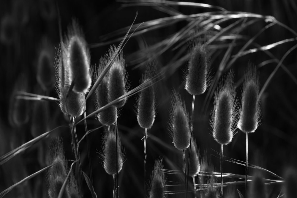 Photograph by Lucia Ana Juárez