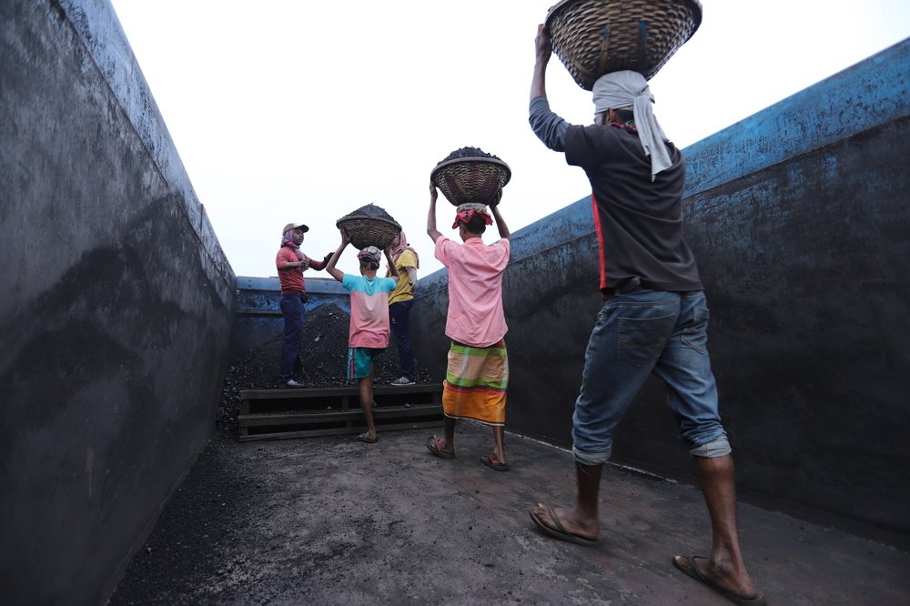 Distracted mango life