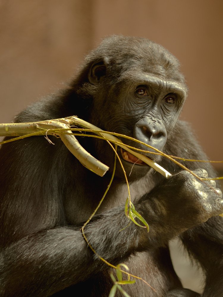 Photograph by Ахметзянова Лилия