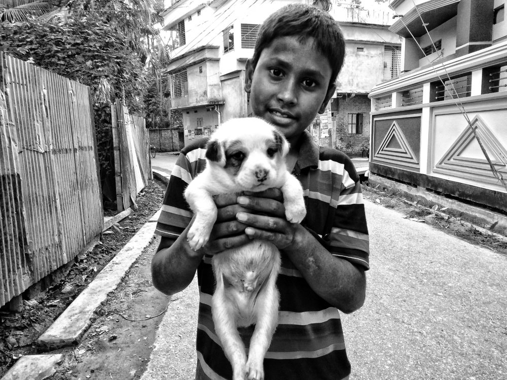 Photograph by SHAHRIAR AHMED JOY