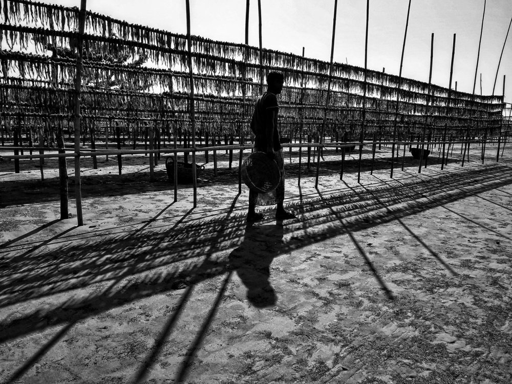 Photograph by SHAHRIAR AHMED JOY