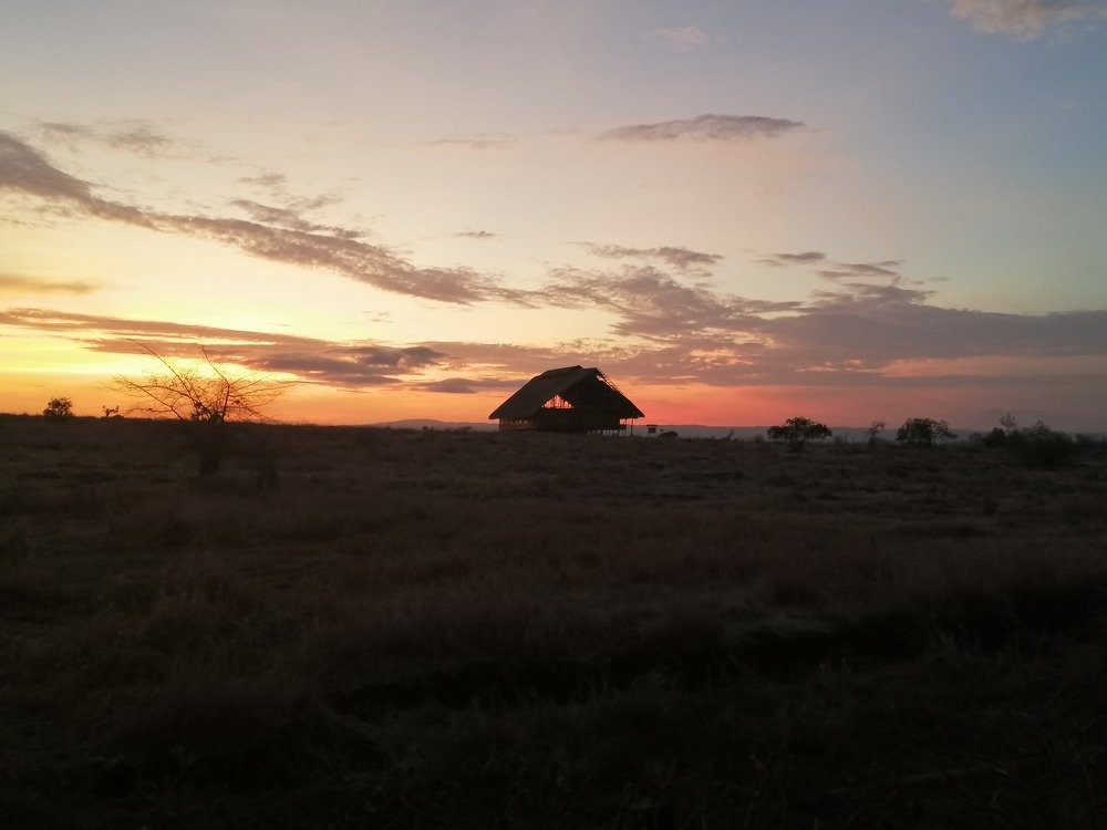 Sunset di Padang Savanna