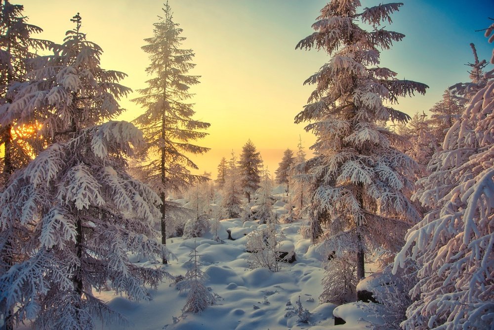 Зима начинается с Якутии