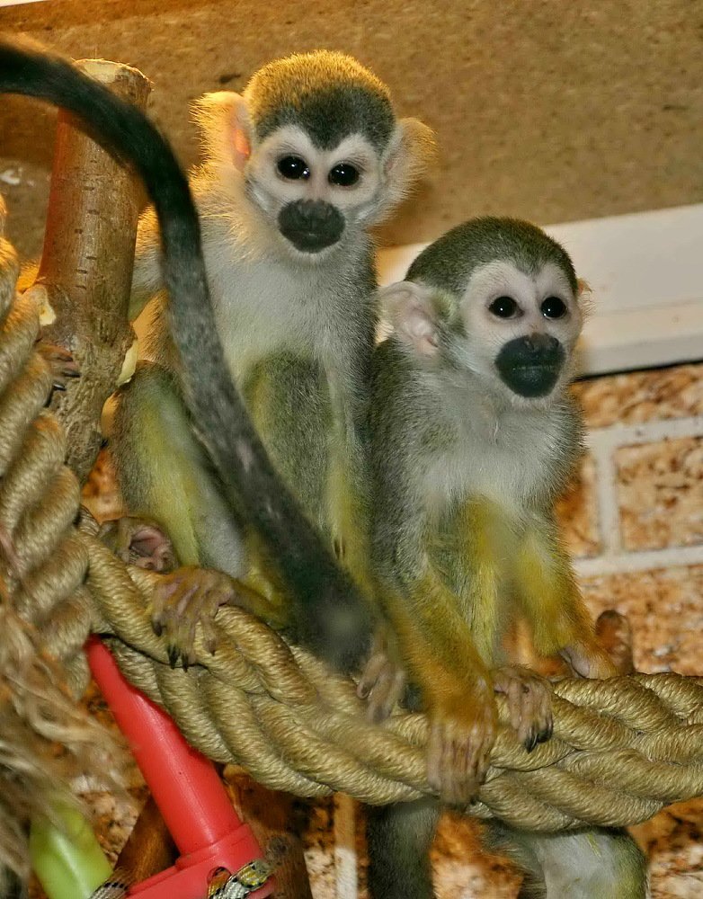 Photograph by НИНА АВЕРЬЯНОВА