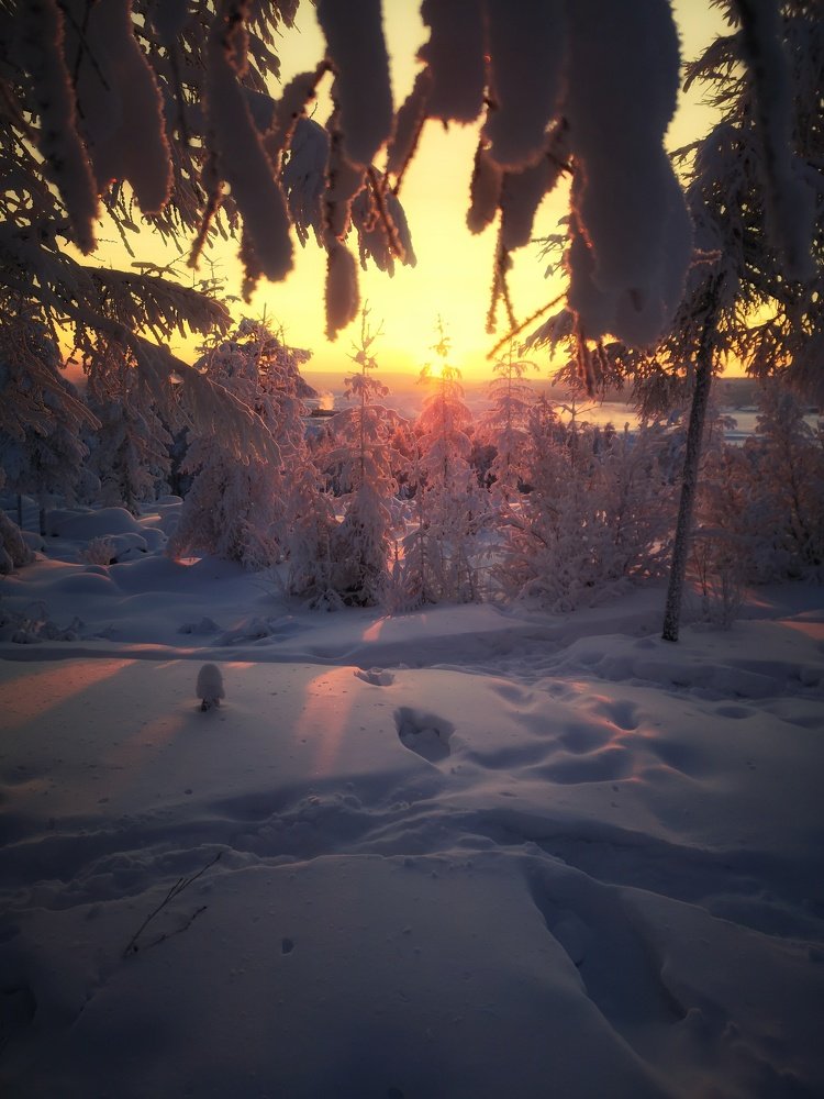 Волшебный рассвет.