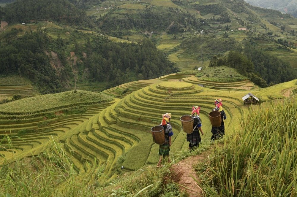 Photograph by Ooi Wei Hoong