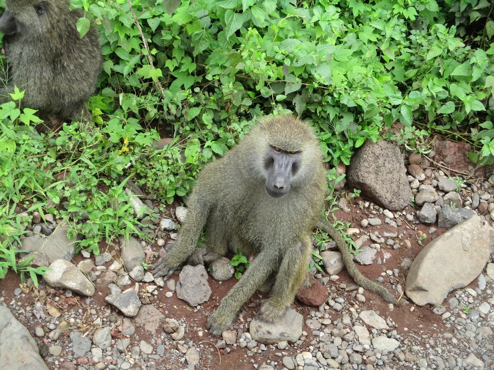 Photograph by Baraka Dobele