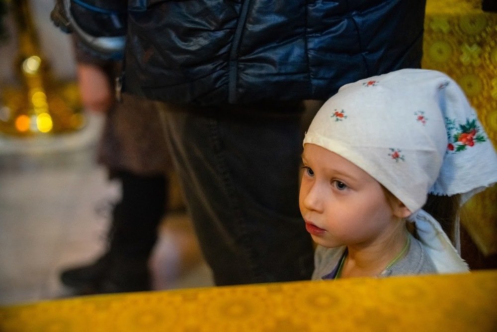 Photograph by Алина Брагина