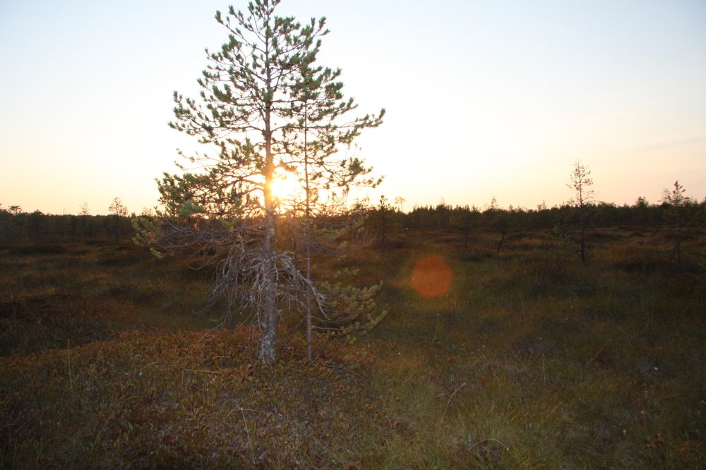 Photograph by Ольга Буланова
