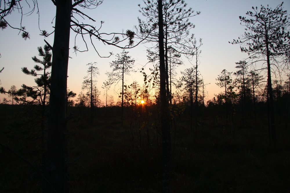 Photograph by Ольга Буланова