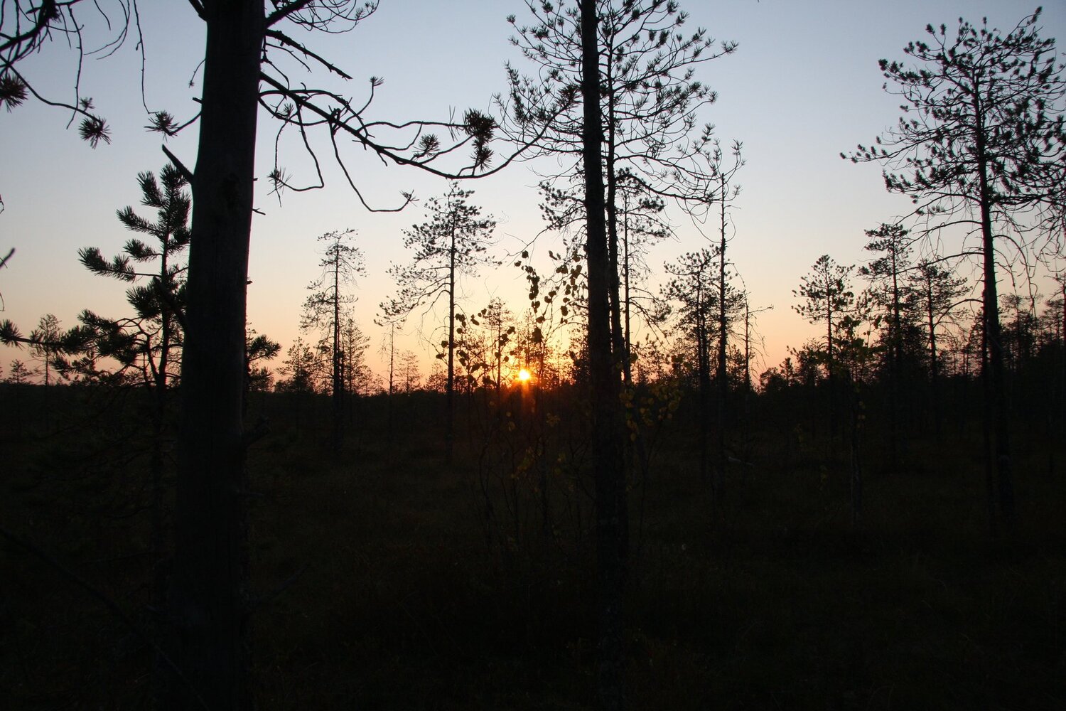 Photo #4073806