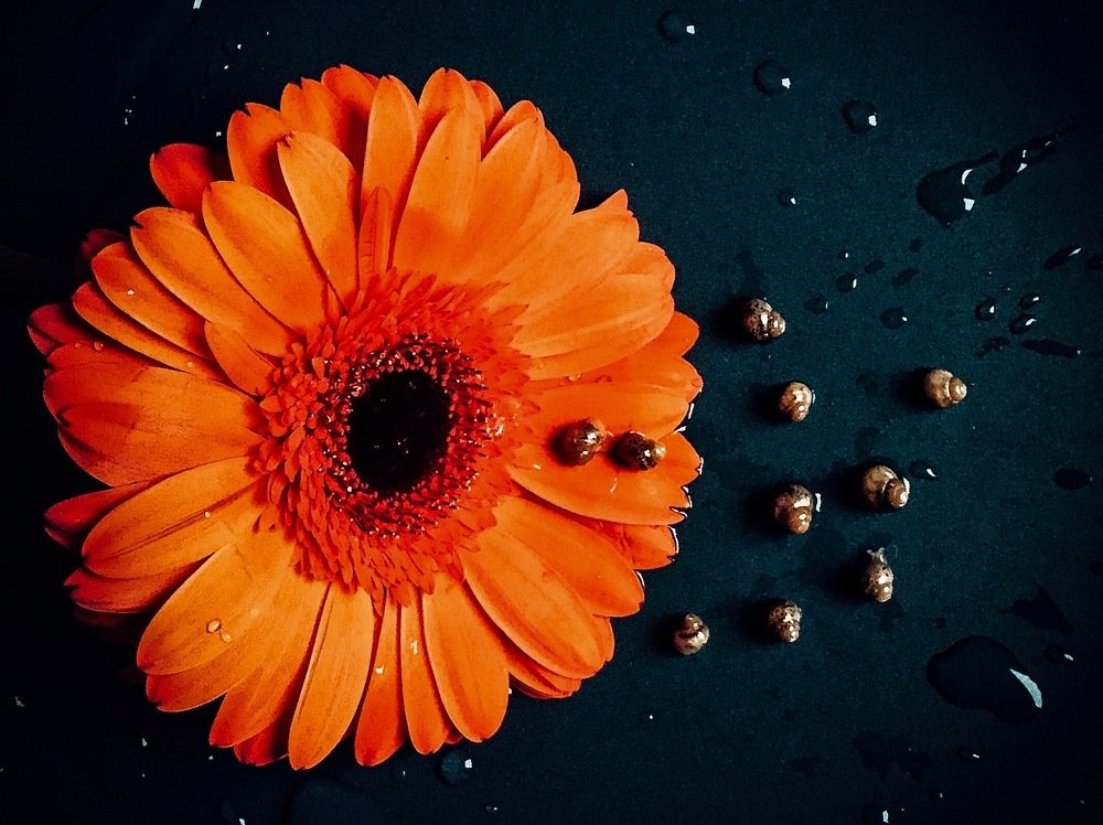 Photograph by Ольга Мурзина