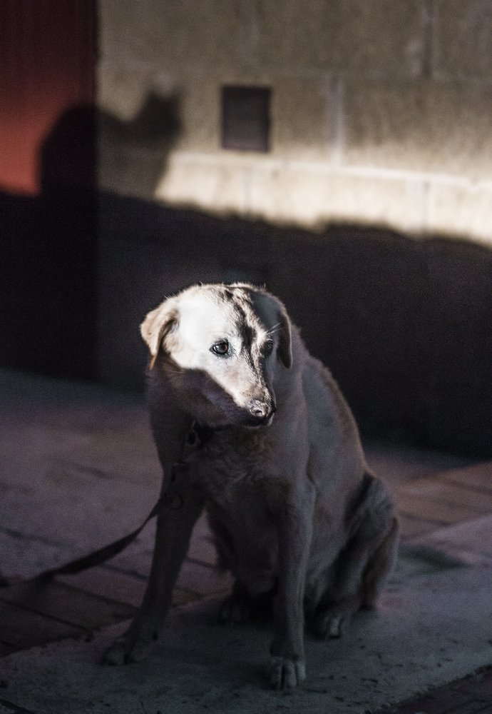 Фотография автора Christian Brogi