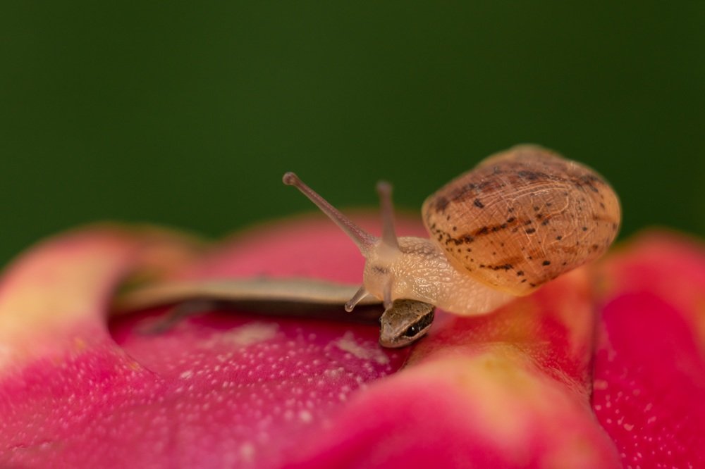 Photograph by Виктория Кузнецова