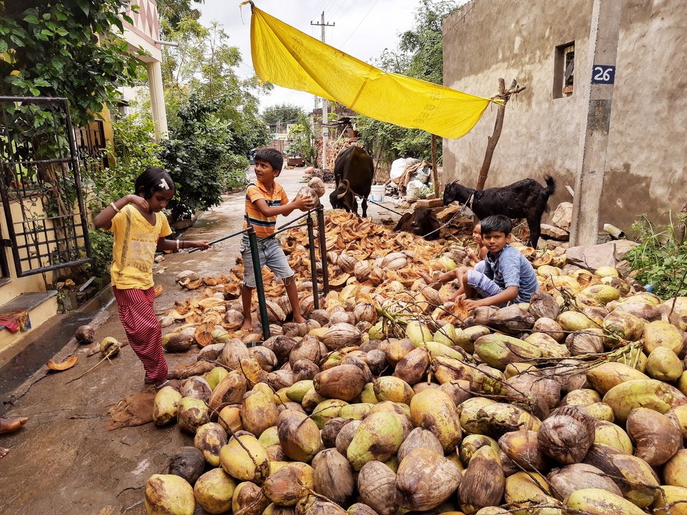 Photograph by Shivukumar Sinnur