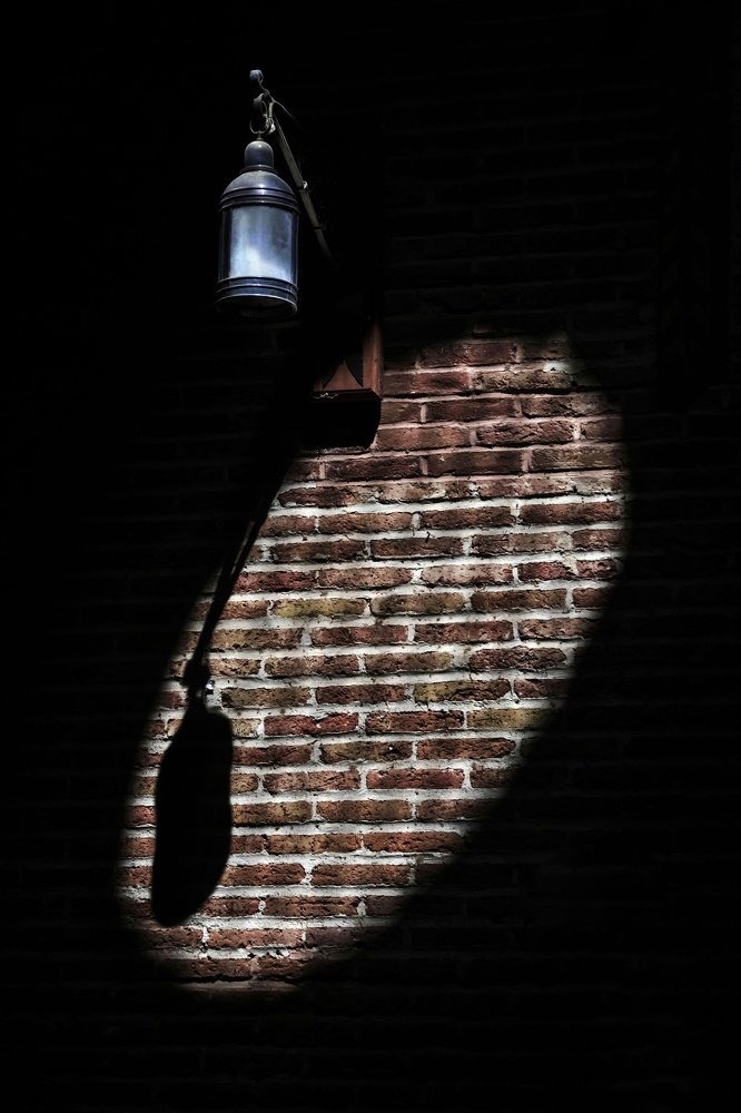 Фотография автора ziba alirezaei58