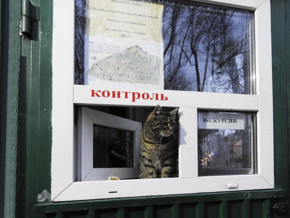 Photograph by Роза Беденок