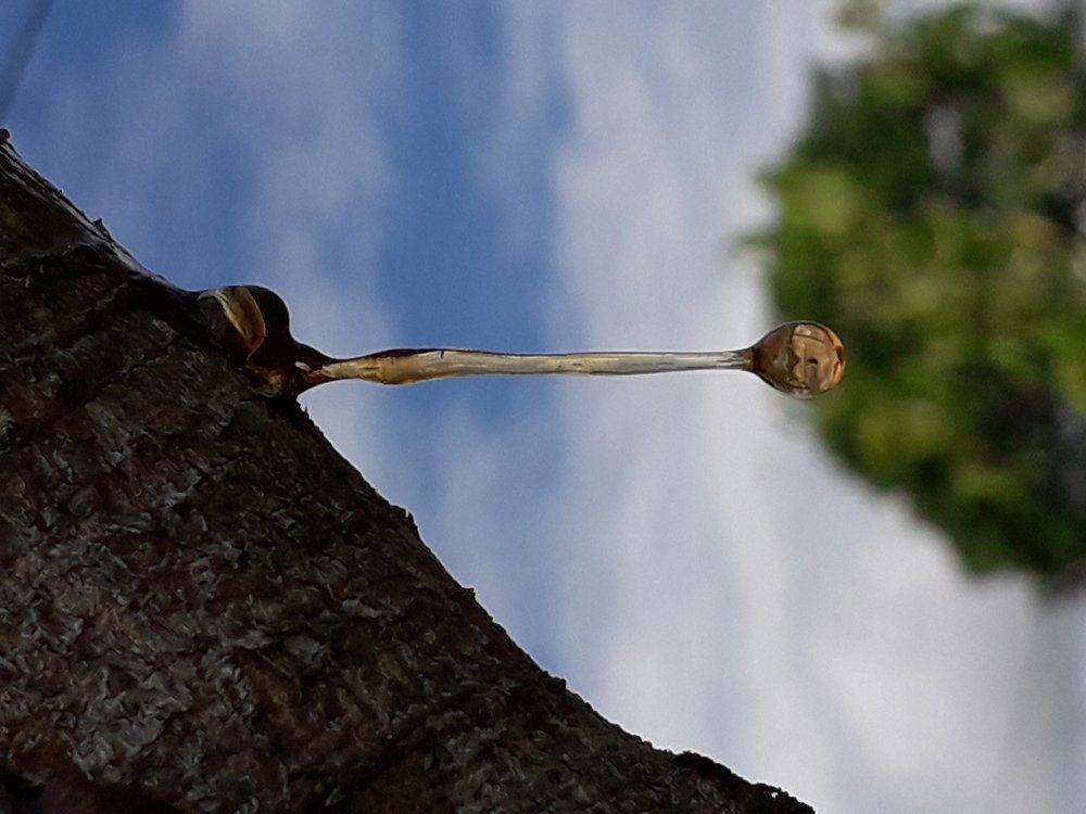 Photo #4074137