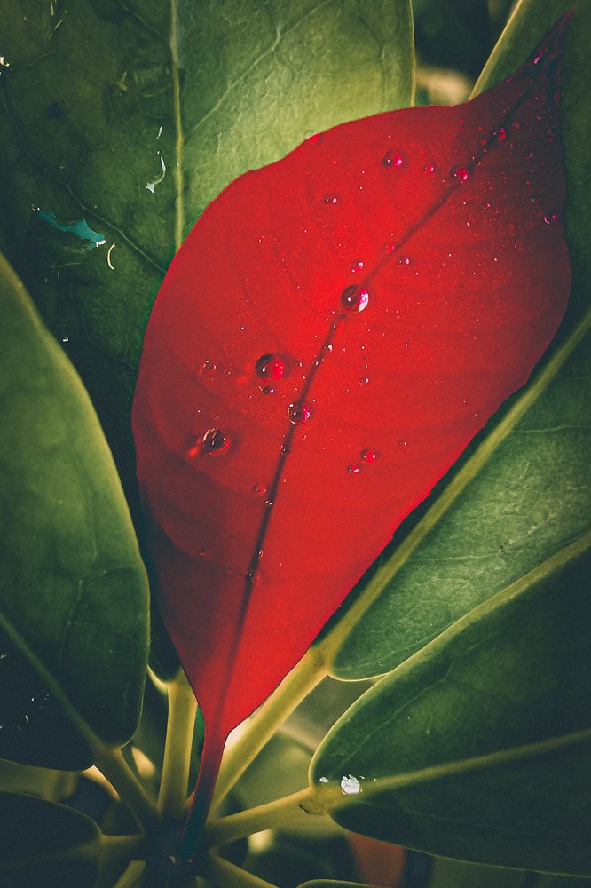 Photograph by Edwin bedua camin