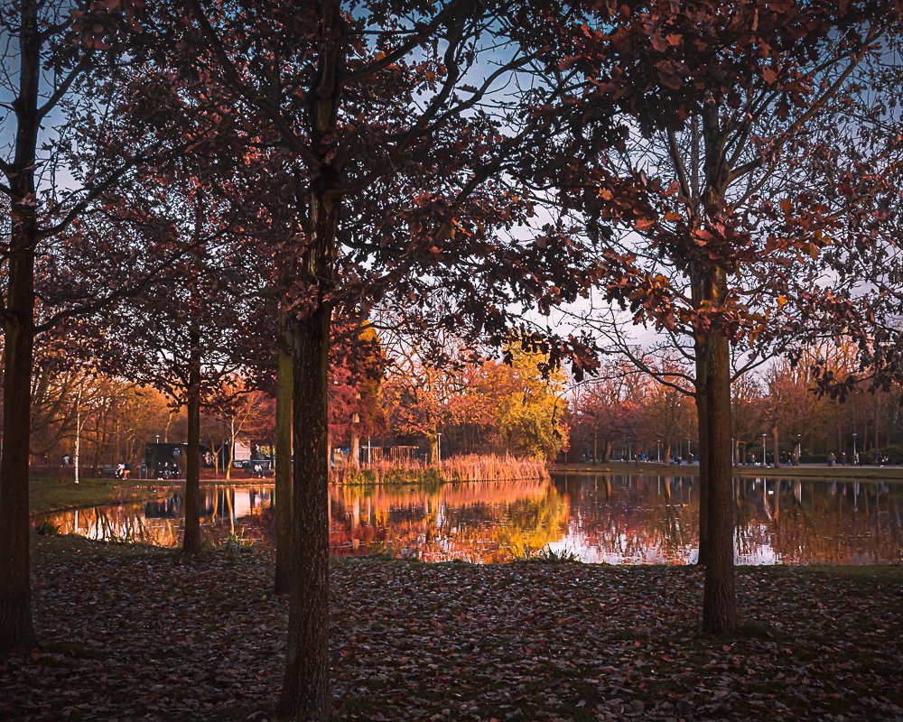 Photograph by Yoav Tzur