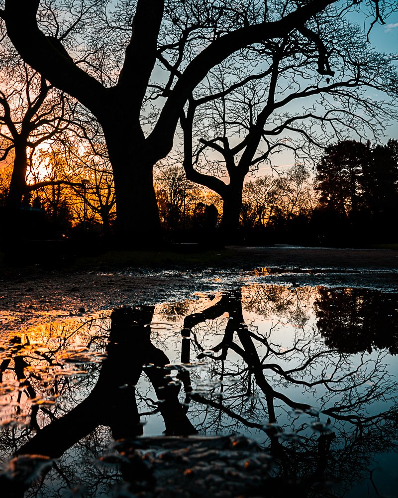 Photograph by Yoav Tzur