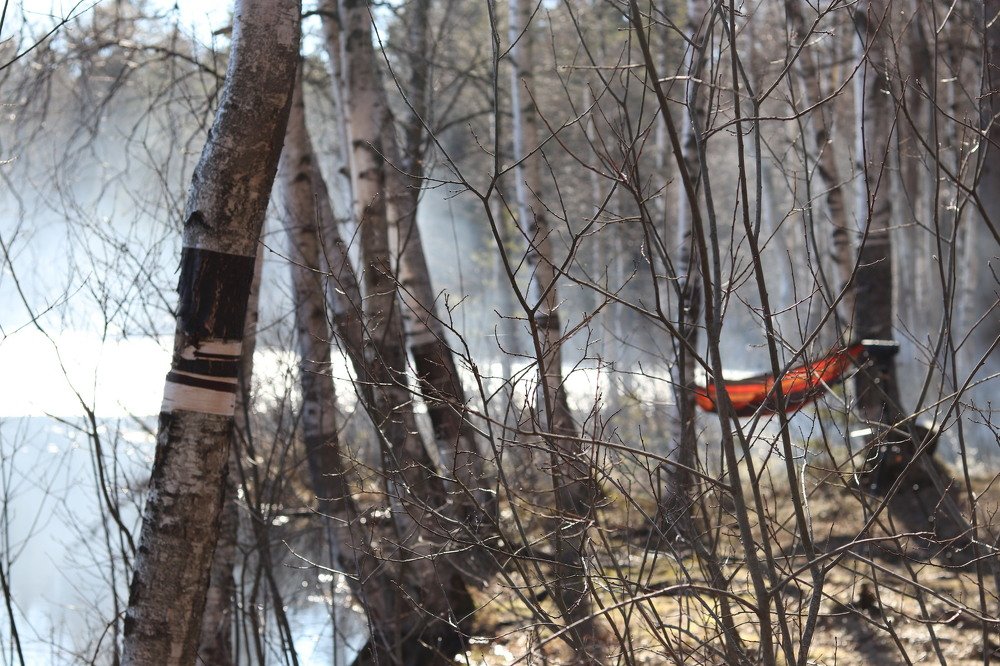 Апрельская ляпота