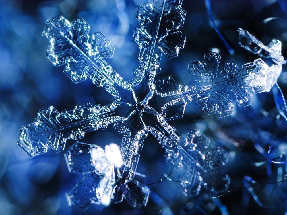 Cold star