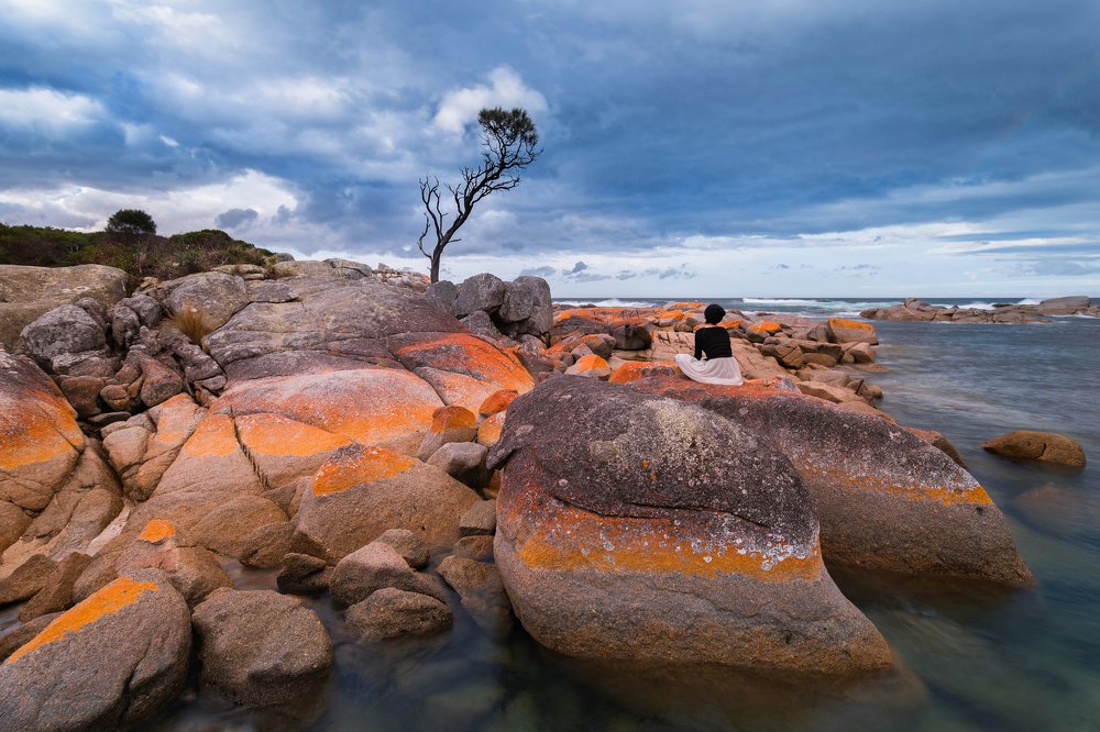 Photograph by Derek Zhang