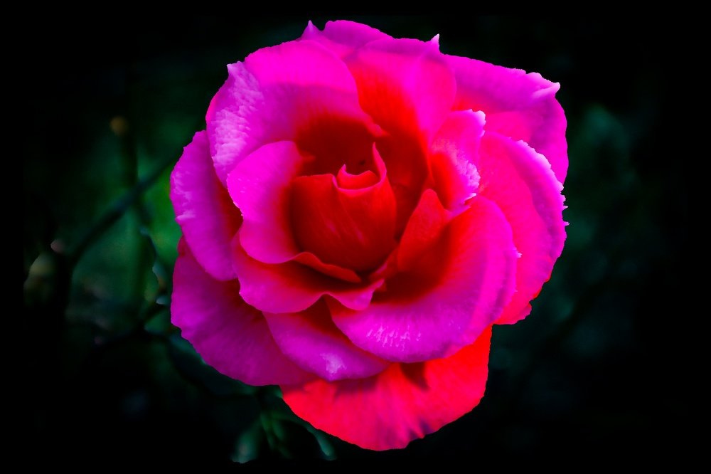 Photograph by Anca Uifalean