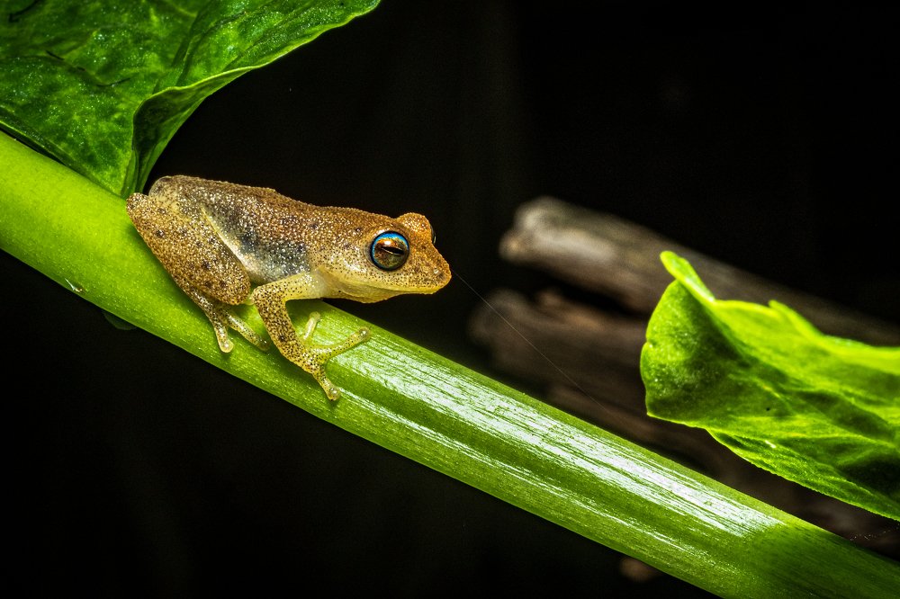 should i jump or slide