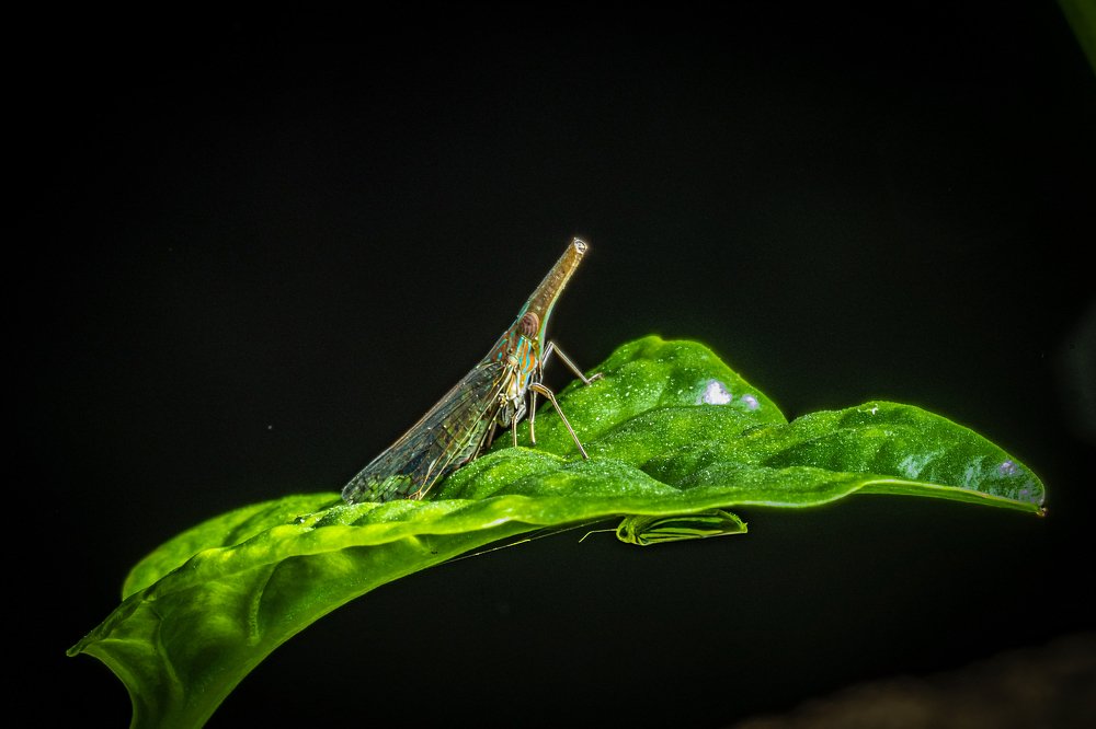 you never know who is below you or above you