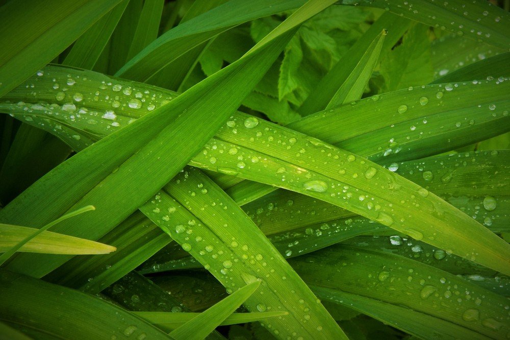 Фотография автора Виктор Конев