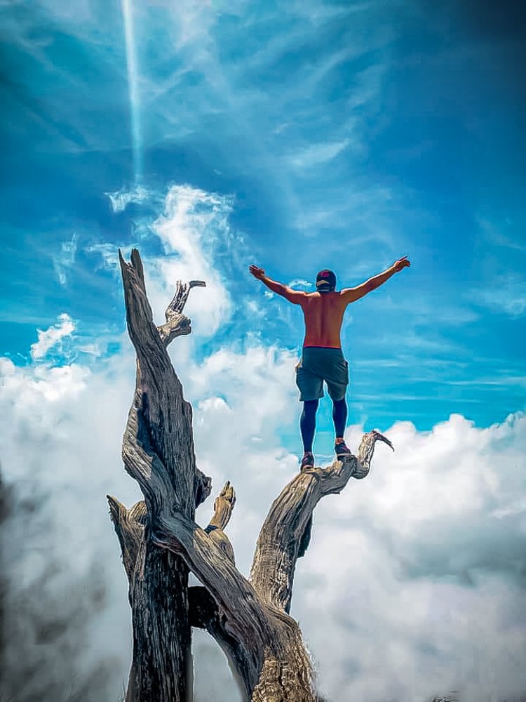 Photograph by Celso Porol Jr.