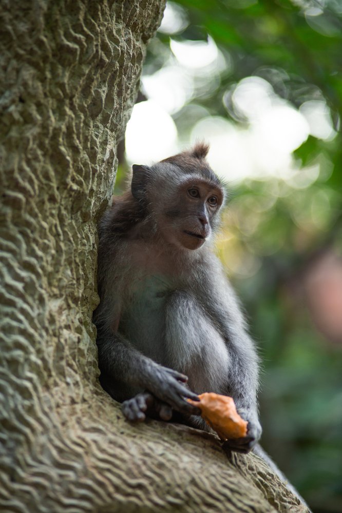 Photograph by Looufen