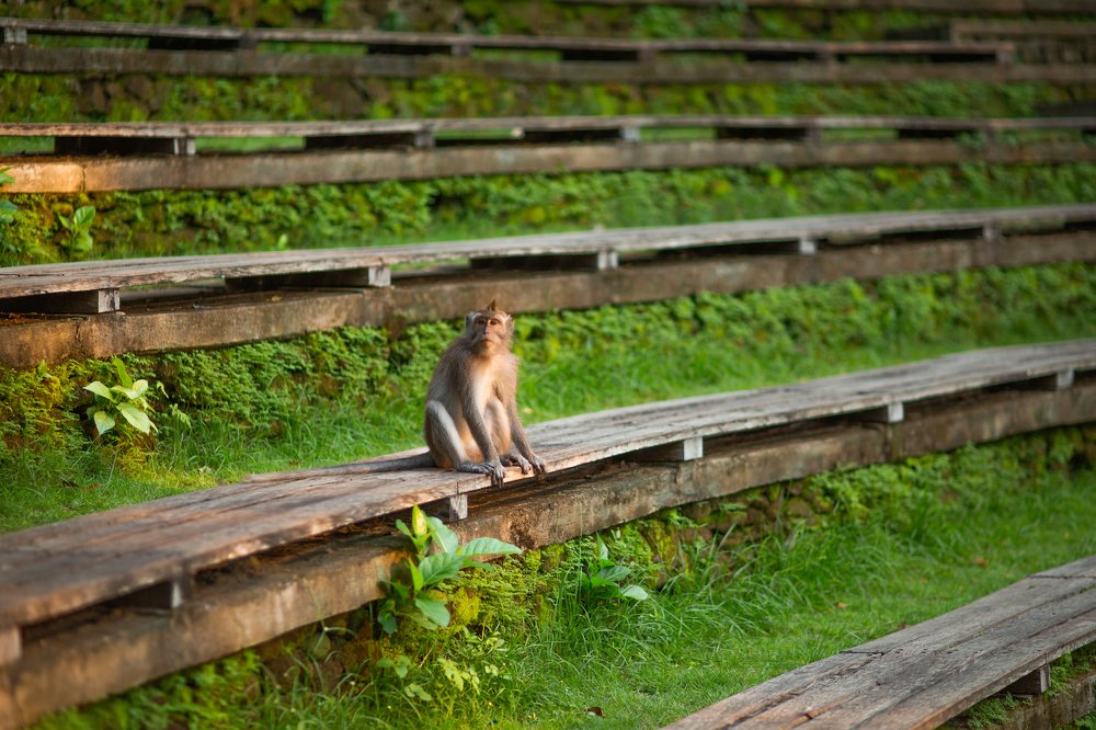 Photograph by Looufen